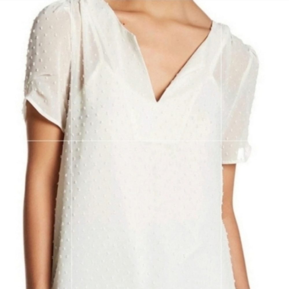DR2 Nordstrom Brand Sheer Swiss Dot Ivory Flowy Top